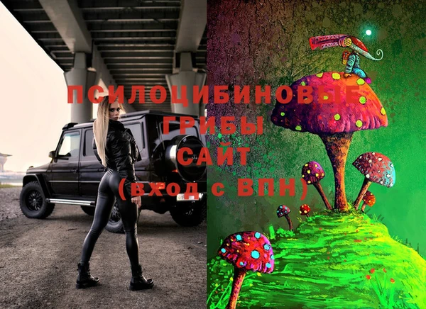 соль ск Лабытнанги