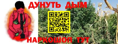 каннабис Донской