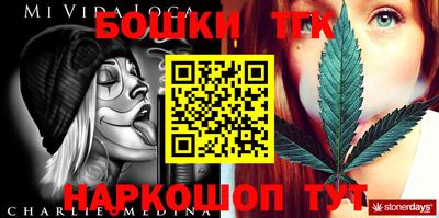гашик Жуковский