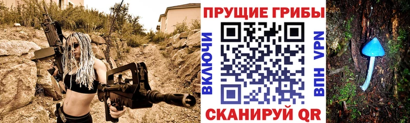 Галлюциногенные грибы прущие грибы  цены наркотик  Малгобек 