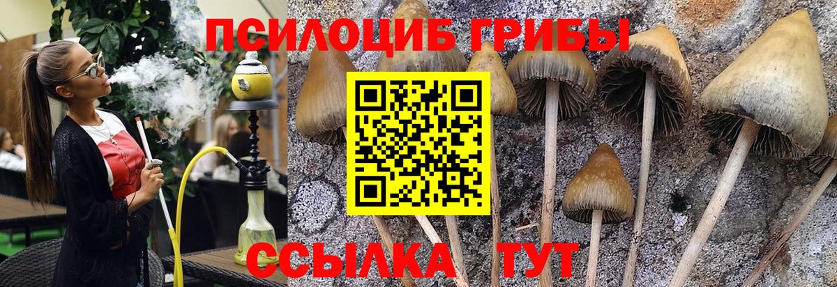 МЕТ  Малгобек  Вход с VPN  МАРИХУАНА  NBOMe  Гашиш  Меф   Купить наркотик  МЕТАДОН  Cocaine 